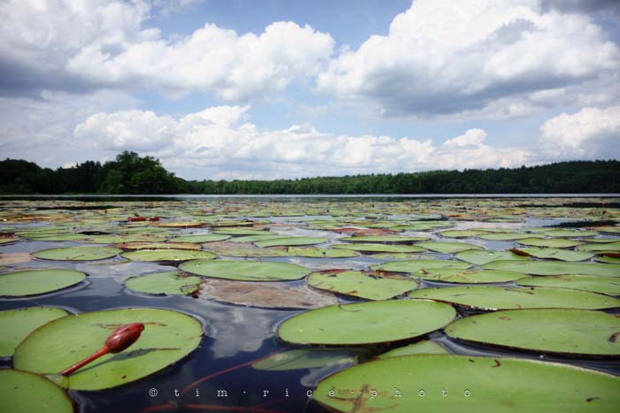 Yr4•279/365 On Lake July 7, 2013