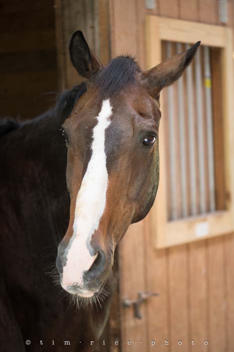 Yr4•288-365•Jenna