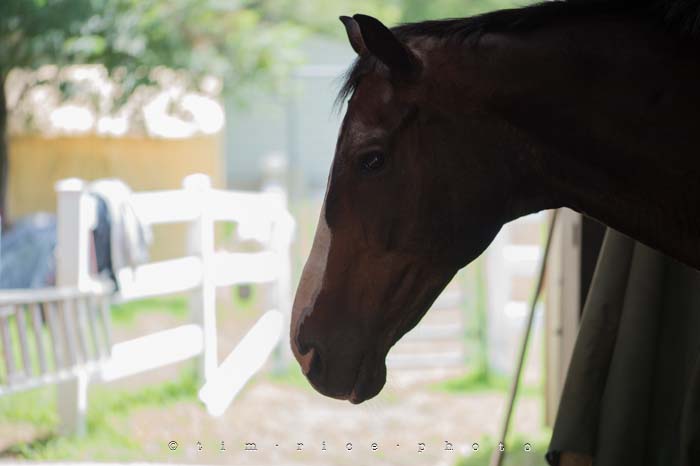 Yr4•289-365•Jenna