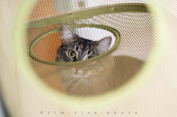 Yr4•292-365•Baby with Blanket