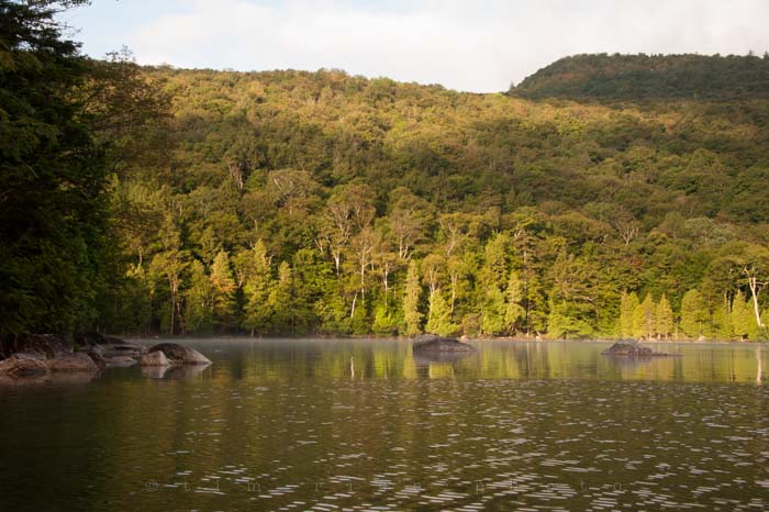 Yr4•308-365•Queit Moment