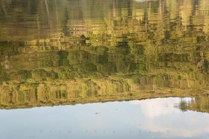 Yr4•309-365•Queit Moment