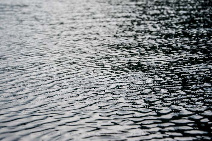 Yr4•313-365•Queit Moment