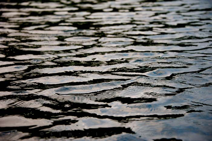 Yr4•314-365•Queit Moment