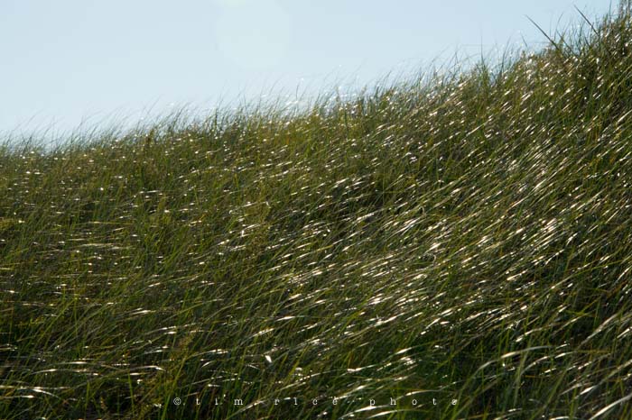 Yr4•316-365•Sailing Scene