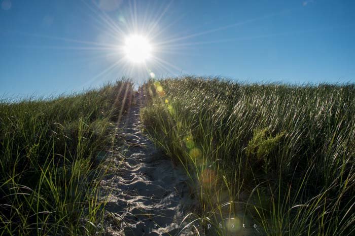 Yr4•317-365•Sailing Scene