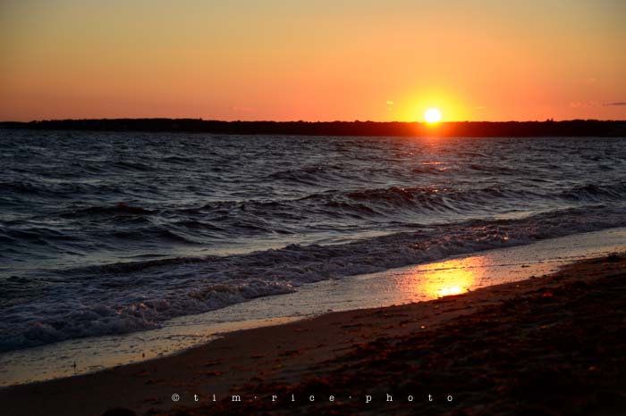 Yr4•318-365•Sailing Scene