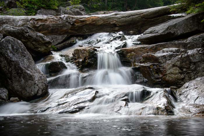 Yr4•325-365•Kinsman