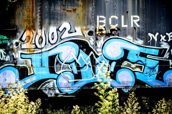 Yr4•333-365•2002