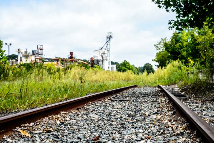 Yr4•334-365•2002