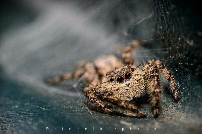 Yr4•339/365 Reclusive September 5, 2013