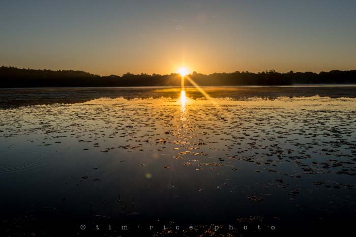 Yr4•001-365•lightdawn