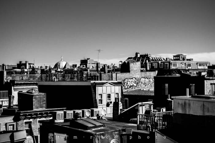 Yr4•019-365•Boston at Noon