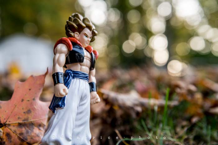 Yr5•009-365•Dan's Toy