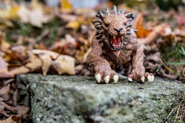 Yr5•010-365•Dan's Toy