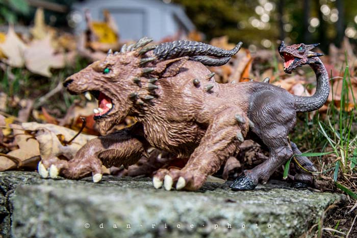 Yr5•011-365•Dan's Toy