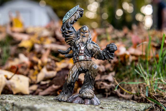 Yr5•012-365•Dan's Toy