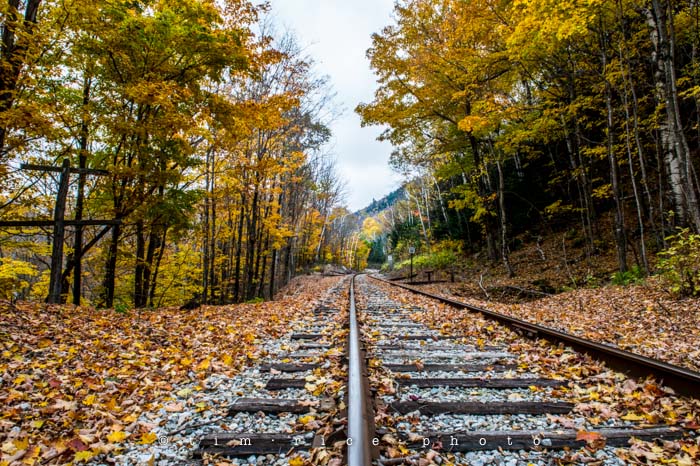 Yr5•012/365•1473 Along the Rail October 12, 2013