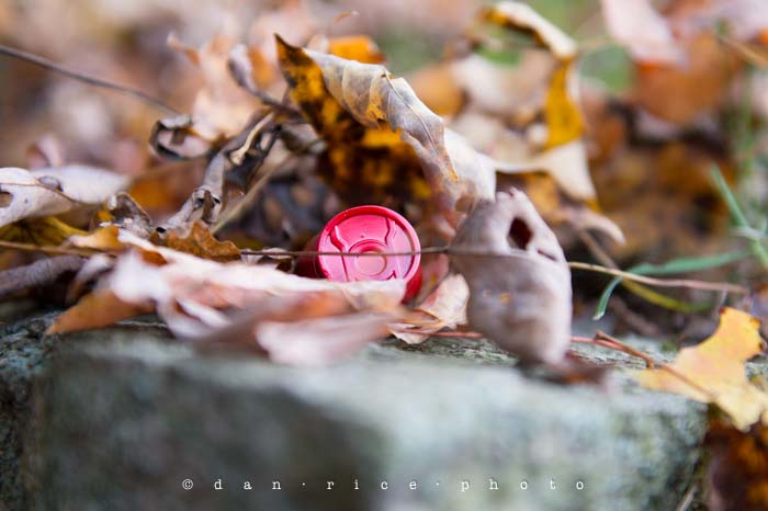 Yr5•014-365•Dan's Toy