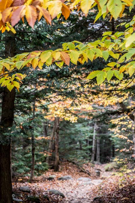 Yr5•022-365•standbyme