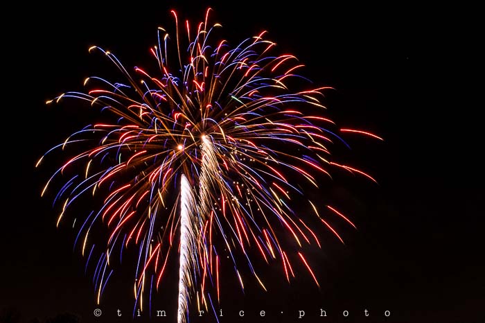 Yr5•010-365•MedwayParade