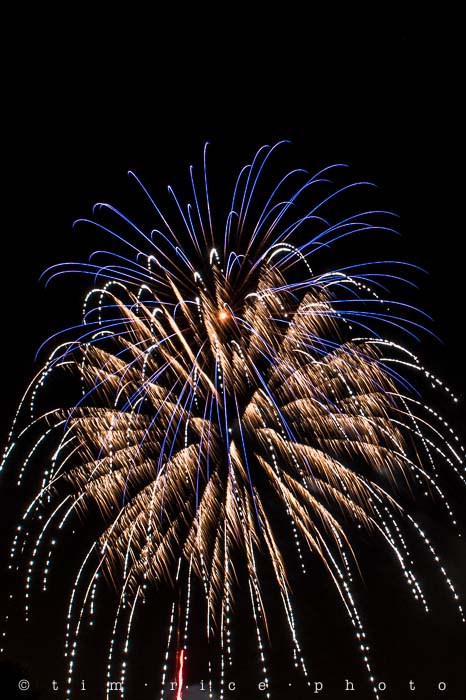 Yr5•011-365•MedwayParade