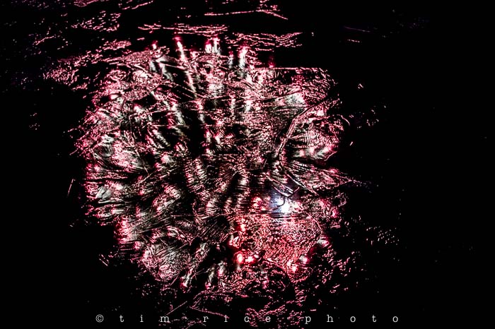 Yr5•023-365•MedwayParade