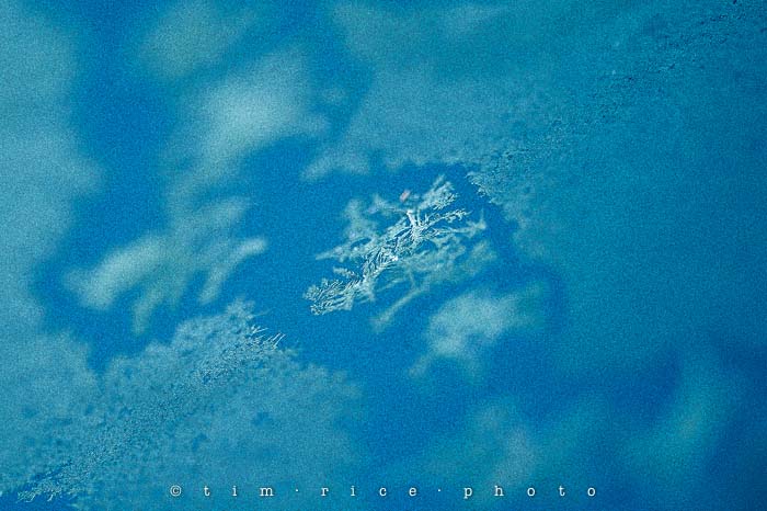 Yr5•036-365•1496•Frosted