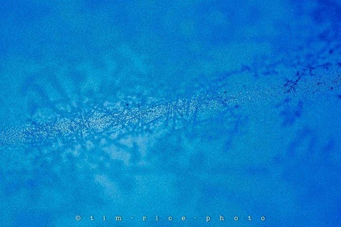 Yr5•037-365•1496•Frosted