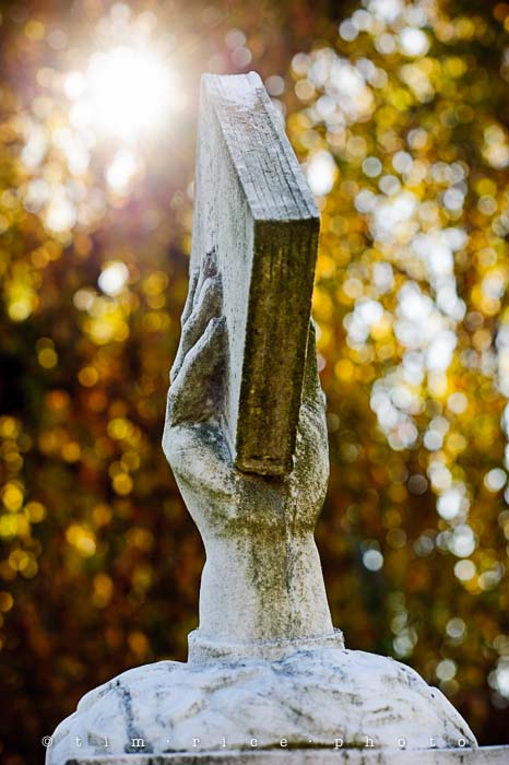 Yr5•049-365•1507•Assistant No. 2