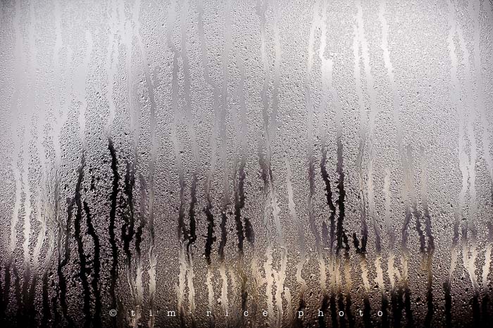 Yr5•049/365•1510 Results November 18, 2013