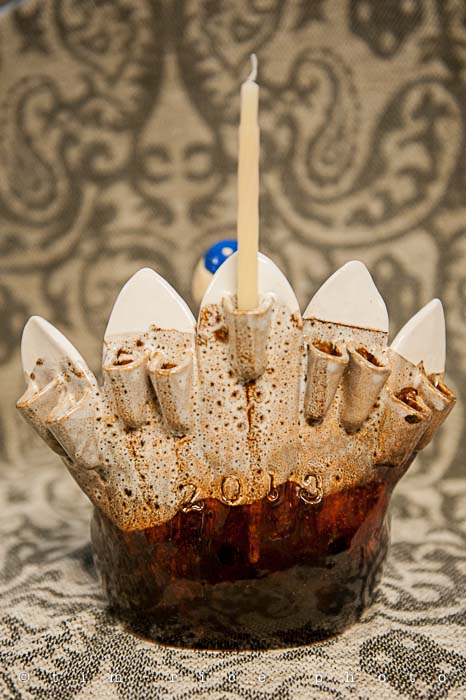 Yr5•053-365•Menurkey