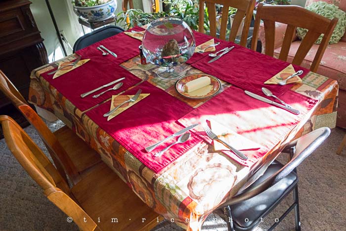 Yr5•060-365•1516•Just Desert