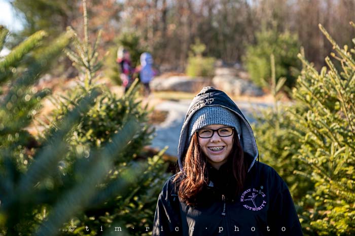 Yr5•062-365•1521•Tree Tradition