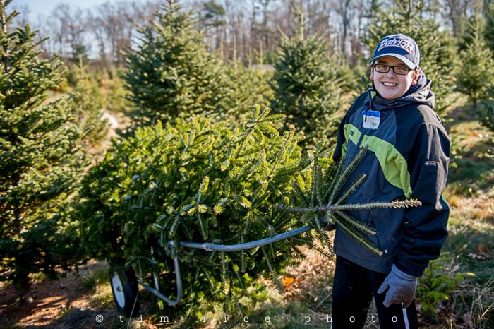 Yr5•065-365•1521•Tree Tradition