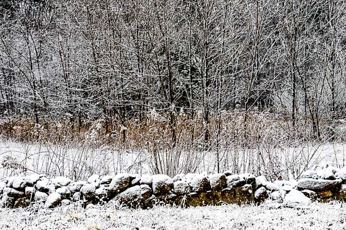 Yr5•071/365•1532 First Dusting December 10, 2013