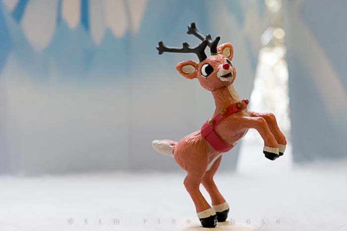 Yr5•079-365•1536•Misfits