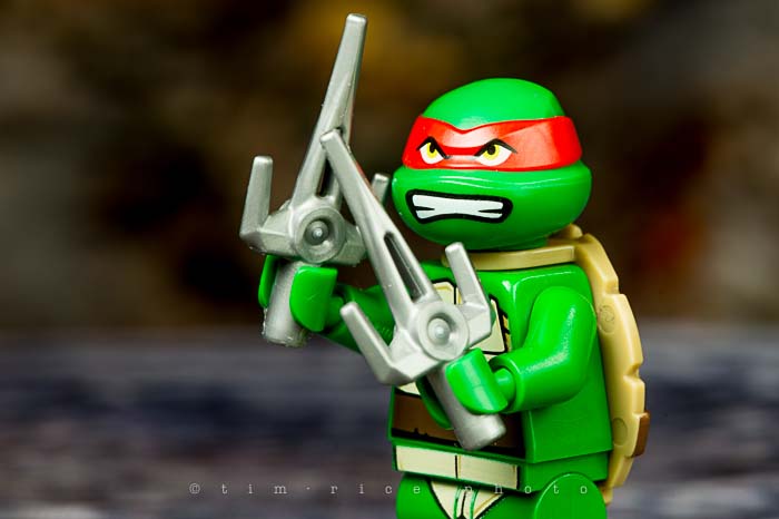 Yr5•090/365•1551 Raphael December 29, 2013 