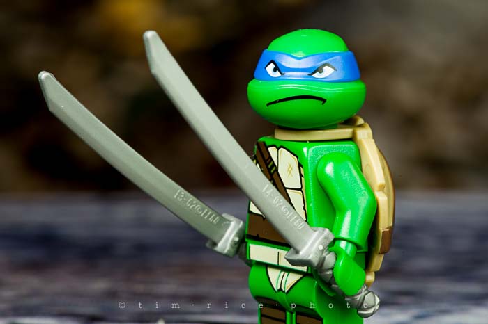 Yr5•092-365•1551•Raphael