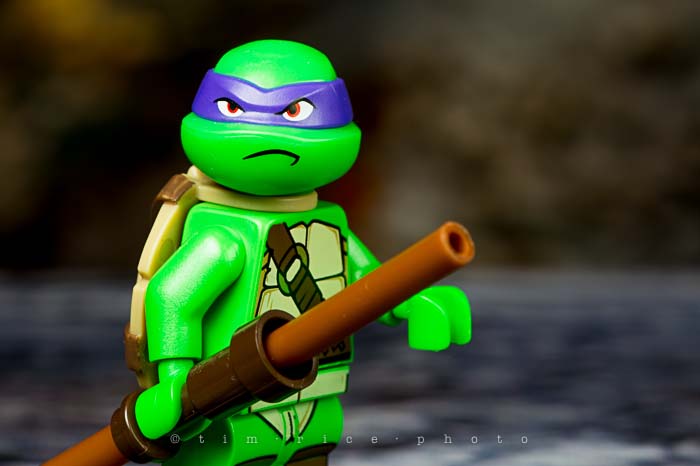 Yr5•093-365•1551•Raphael