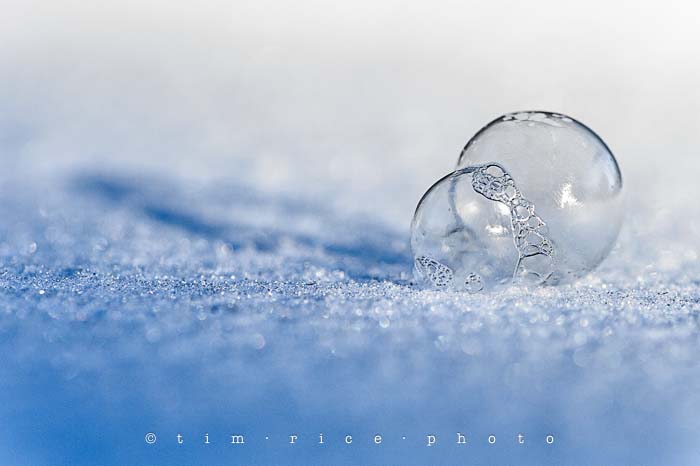 Yr5•095-365•1556•Frozen Bubbles