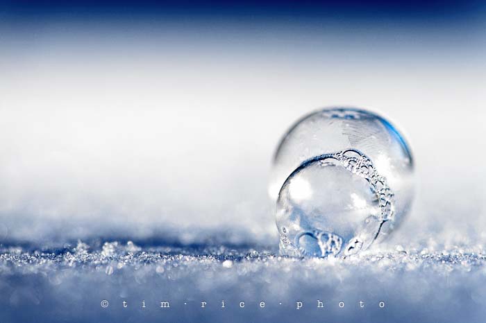 Yr5•096-365•1556•Frozen Bubbles