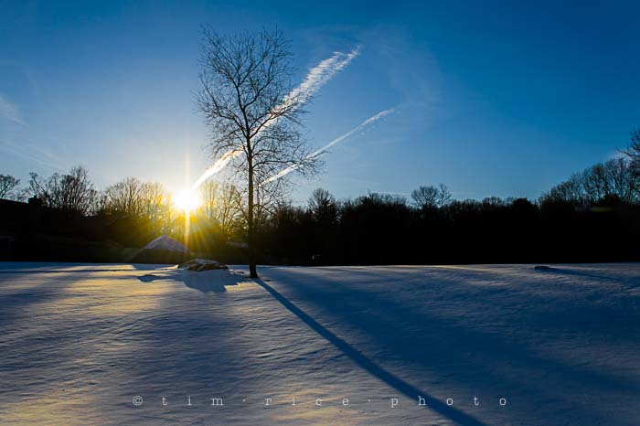 Yr5•096/365•1557 Late Day Winter January 4, 2014