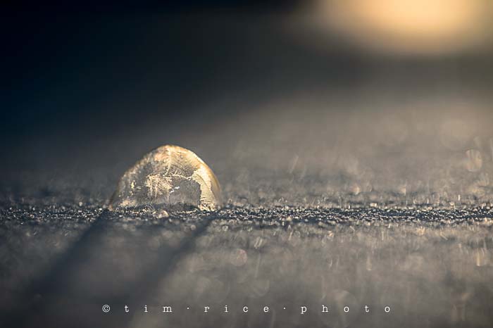 Yr5•099-365•1556•Frozen Bubbles