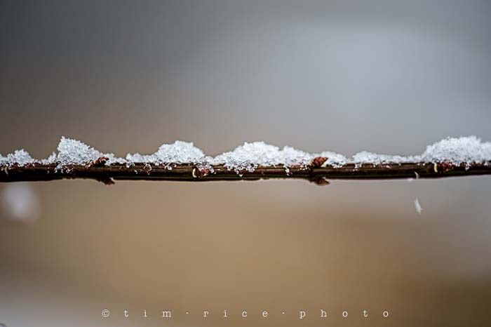 Yr5•110/365•1571 Snow Line January 18, 2014