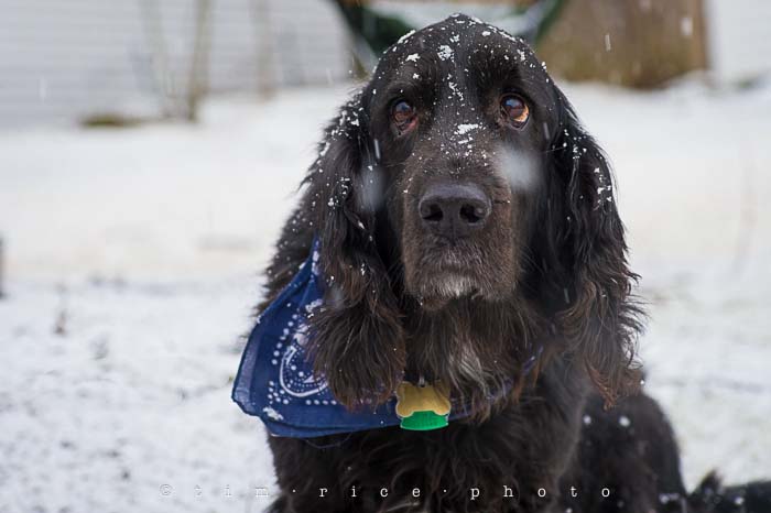 Yr5•110-365•1571•Snow Line