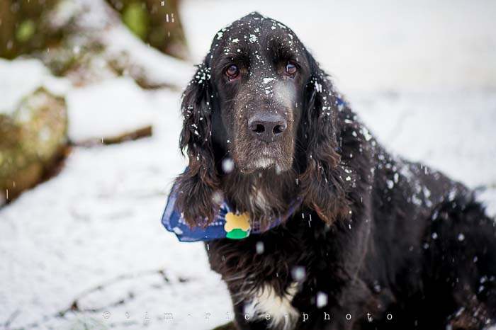 Yr5•111-365•1571•Snow Line