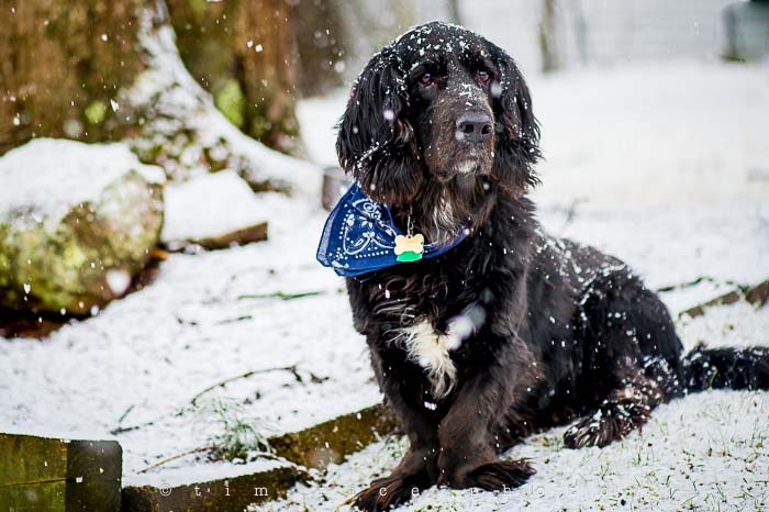Yr5•112-365•1571•Snow Line