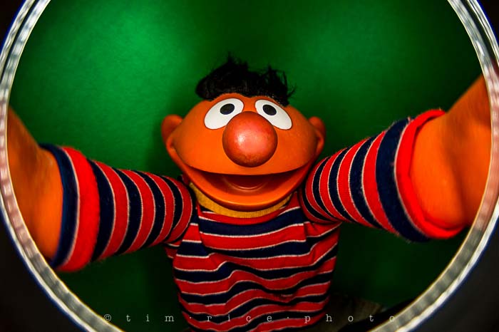 Yr5•112-365•1573•Looking at Ernie