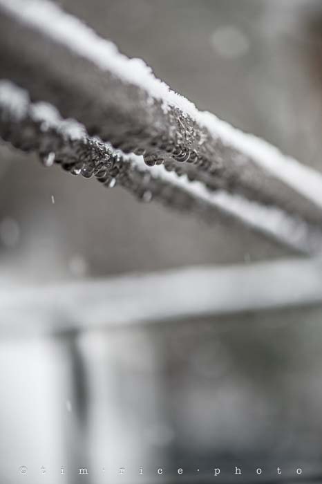 Yr5•113-365•1571•Snow Line